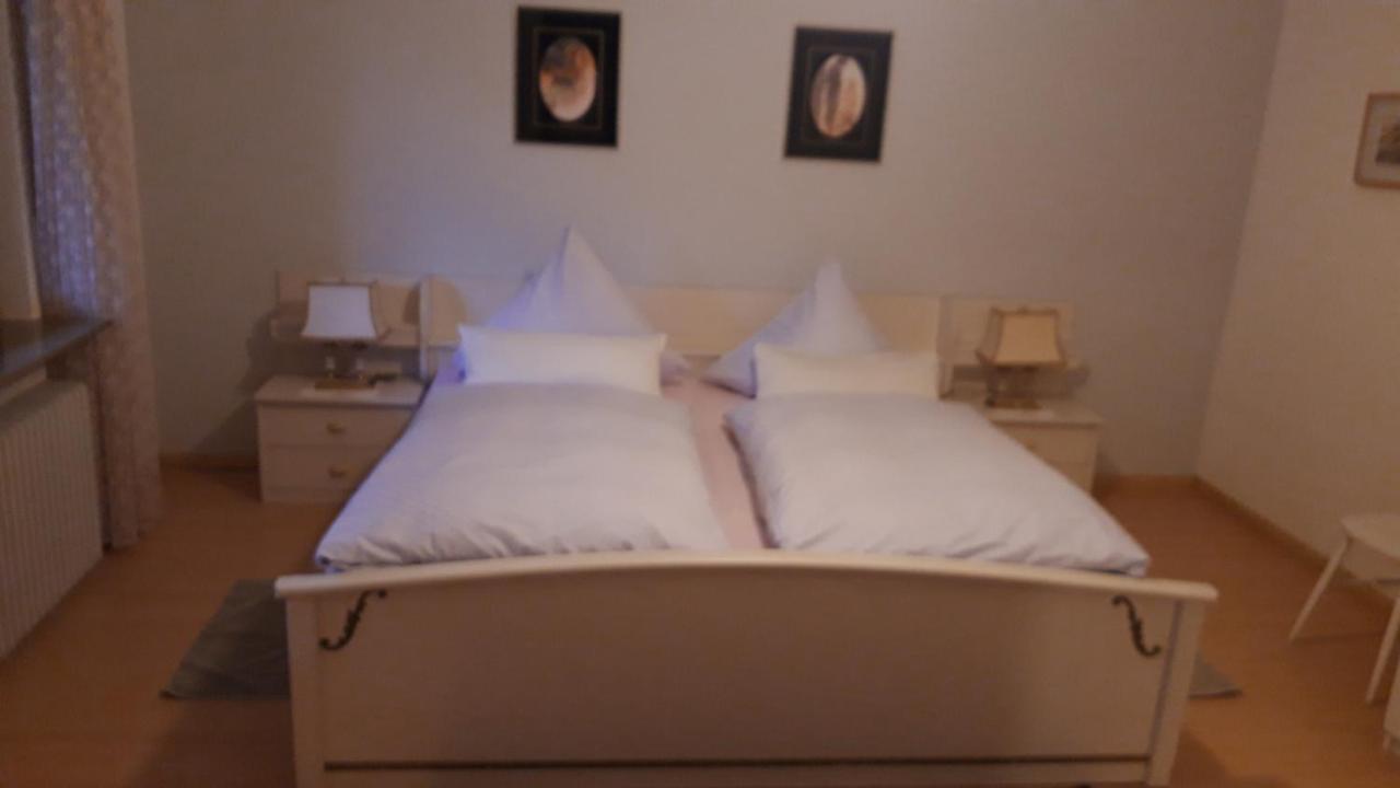 Ferienwohnung Neckarblick Heidelberg Exteriér fotografie