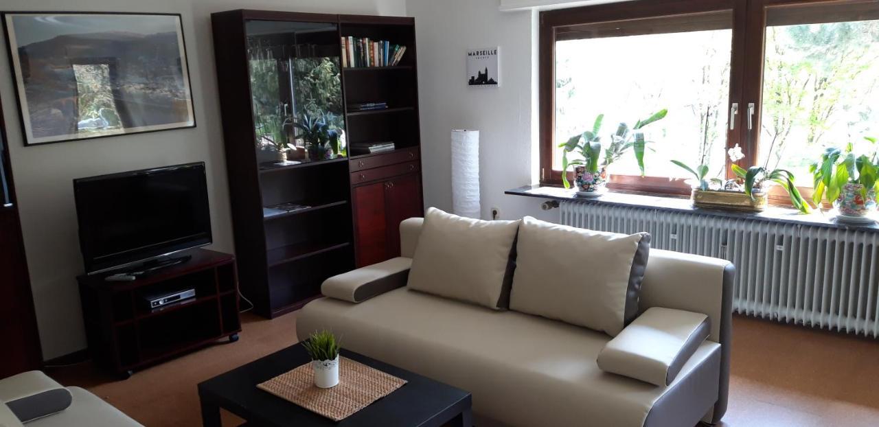Ferienwohnung Neckarblick Heidelberg Exteriér fotografie