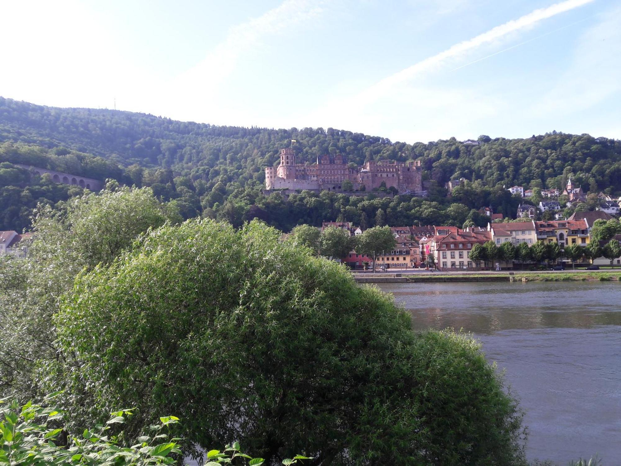 Ferienwohnung Neckarblick Heidelberg Exteriér fotografie