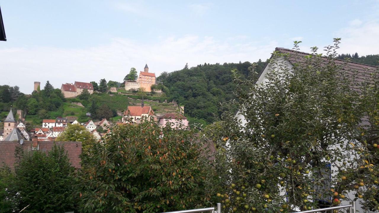 Ferienwohnung Neckarblick Heidelberg Exteriér fotografie