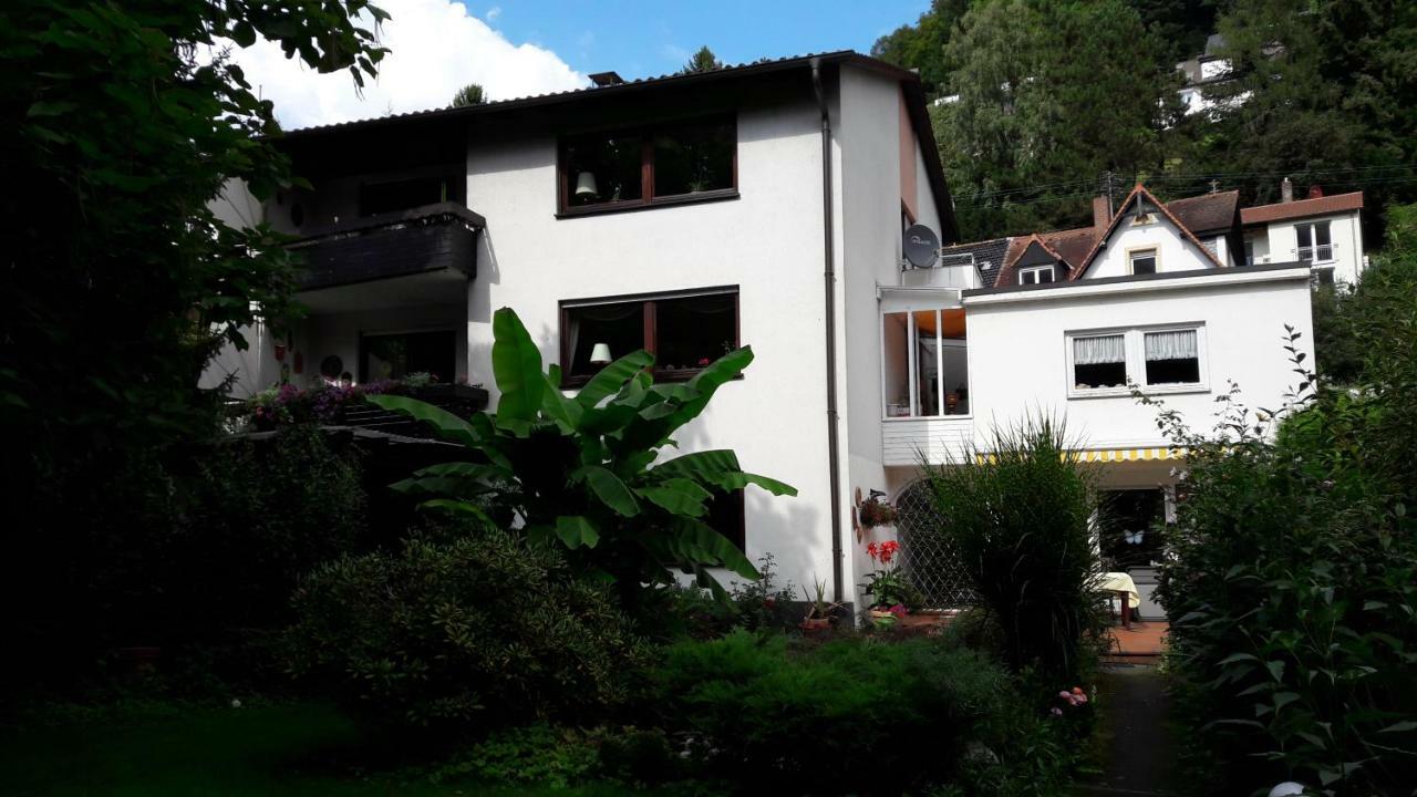 Ferienwohnung Neckarblick Heidelberg Exteriér fotografie