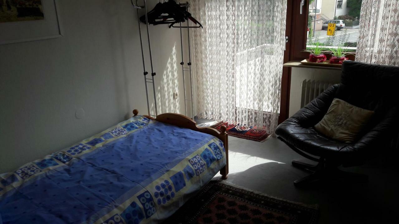 Ferienwohnung Neckarblick Heidelberg Exteriér fotografie